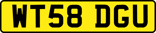 WT58DGU