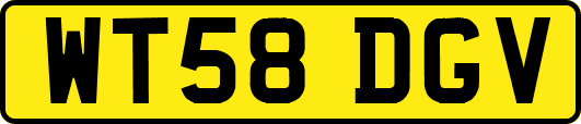 WT58DGV