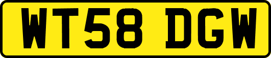 WT58DGW