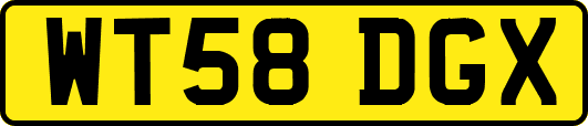 WT58DGX