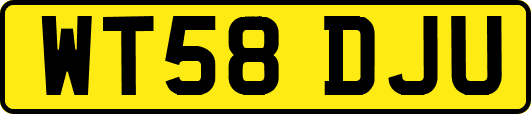 WT58DJU