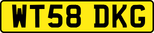 WT58DKG