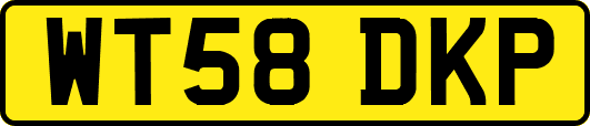 WT58DKP