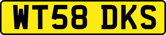 WT58DKS