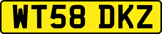 WT58DKZ