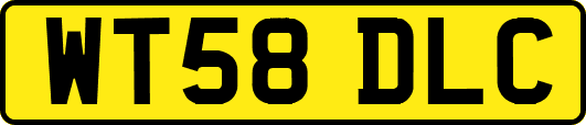WT58DLC