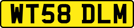 WT58DLM