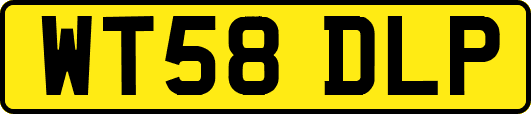 WT58DLP