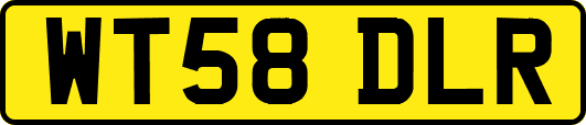 WT58DLR