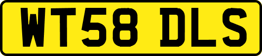 WT58DLS