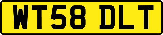 WT58DLT