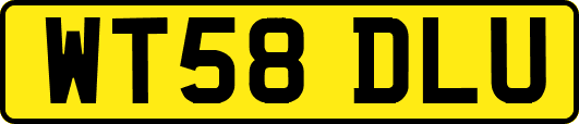 WT58DLU