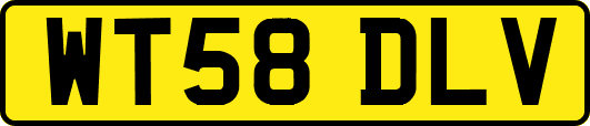 WT58DLV