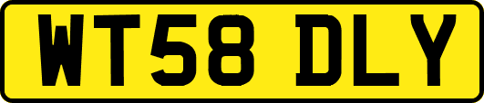WT58DLY