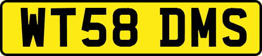 WT58DMS