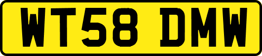 WT58DMW