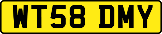 WT58DMY