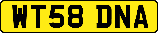 WT58DNA