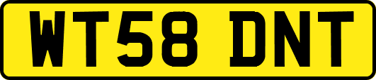 WT58DNT