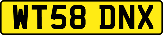 WT58DNX