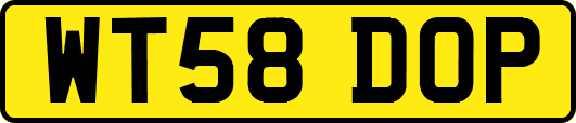 WT58DOP