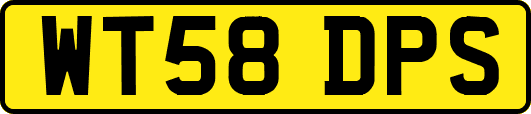 WT58DPS