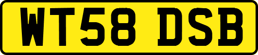 WT58DSB