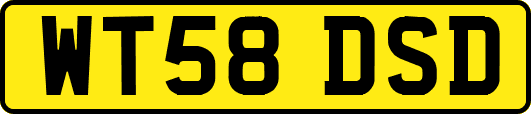WT58DSD