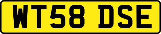 WT58DSE