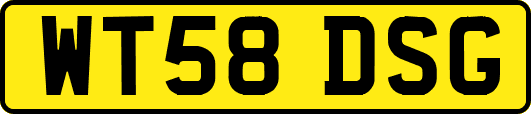 WT58DSG
