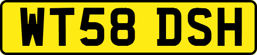 WT58DSH