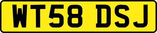 WT58DSJ