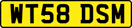 WT58DSM