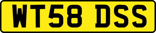 WT58DSS