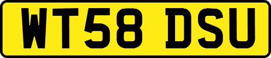 WT58DSU