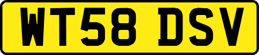 WT58DSV