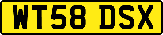 WT58DSX