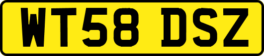 WT58DSZ