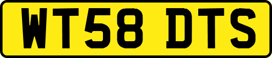 WT58DTS