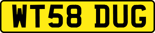 WT58DUG