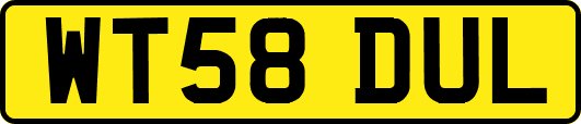 WT58DUL