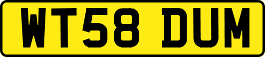 WT58DUM