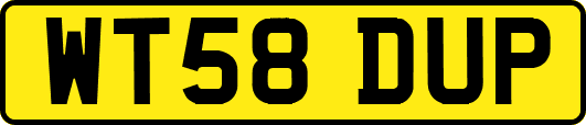 WT58DUP