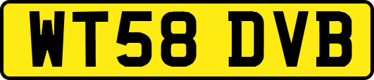 WT58DVB