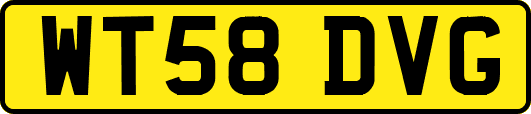 WT58DVG
