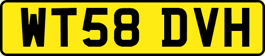 WT58DVH