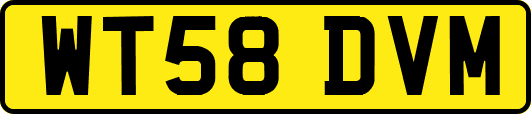 WT58DVM