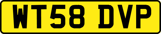 WT58DVP