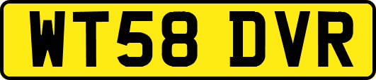 WT58DVR