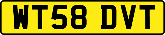 WT58DVT